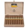 Cohiba Ámbar