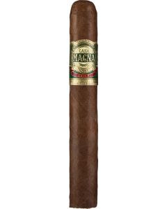 Casa Magna Liga F Toro