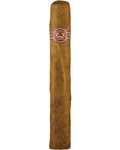 Padron 5000