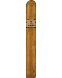 The Leaf by Oscar Connecticut Toro