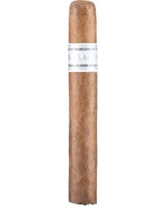 Horacio Classic Line Le Petit Panatela