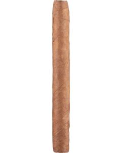 Oliva Serie V Señoritas