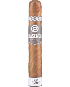 Plasencia Alma del Campo Guajiro