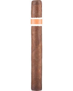 RoMa Craft Neanderthal HS
