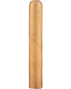 ZO House Blend Connectiut Robusto