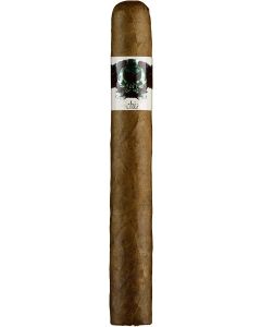 Asylum Schizo Toro