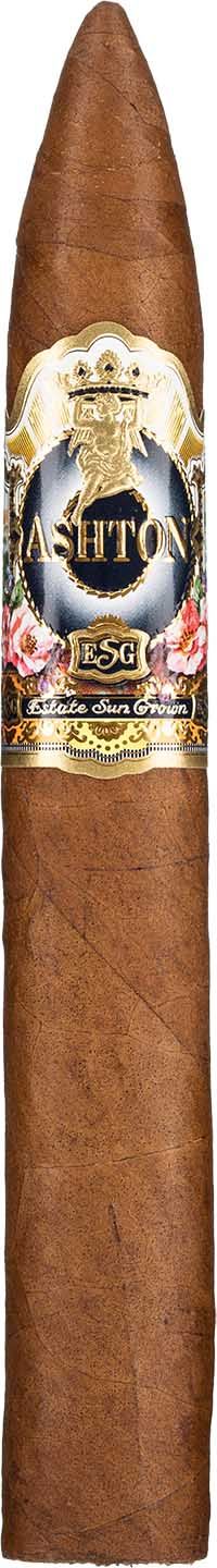 Ashton ESG 22 Year Figurado