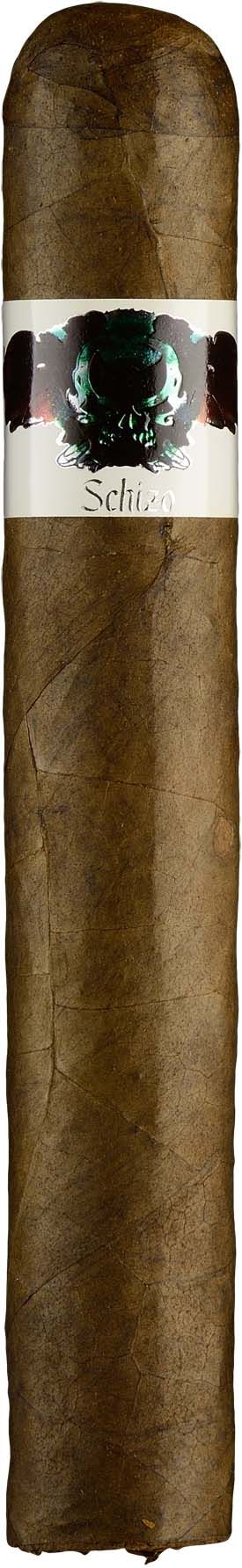 Asylum Schizo Hercule