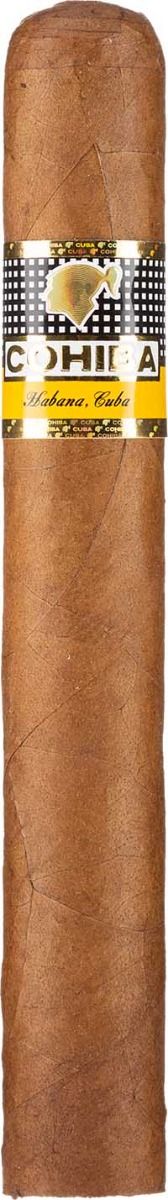 Cohiba Siglo 6