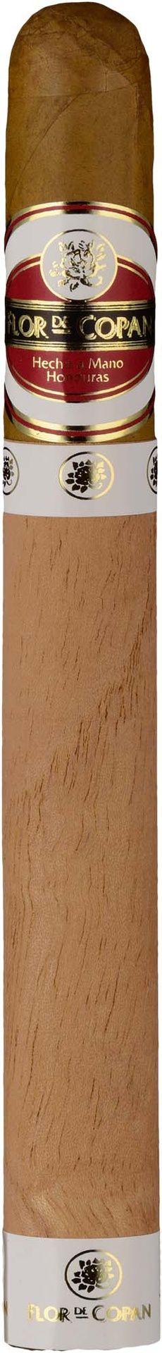 Flor de Copan Churchill