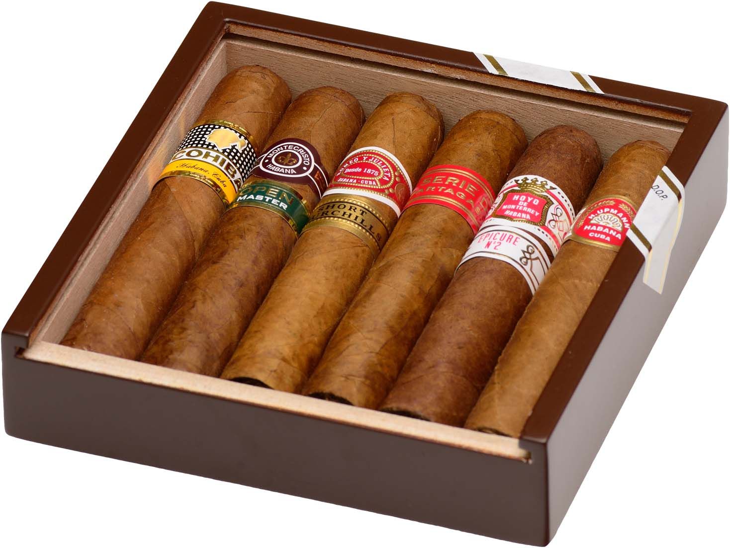 Habanos Seleccion Robustos
