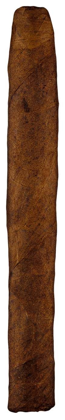 Ibis Antiguo Figurado