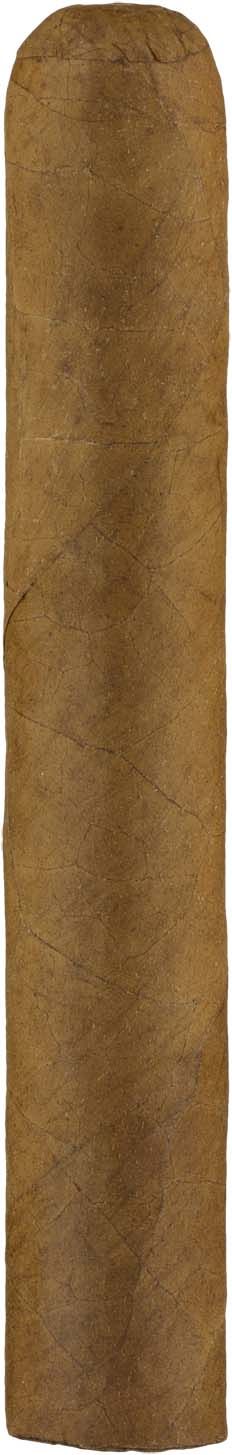 Kautz Corojo Robusto