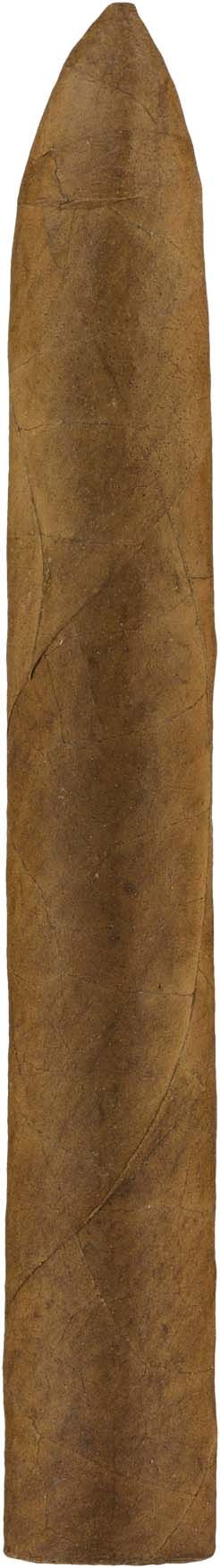 Kautz Corojo Torpedo