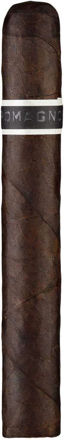 RoMa Craft CroMagnon Cranium