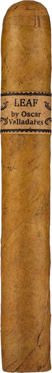 The Leaf by Oscar Connecticut Toro