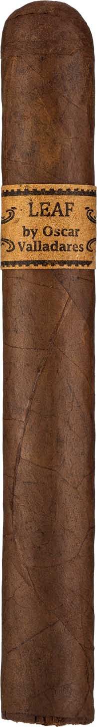 The Leaf by Oscar Corojo Toro