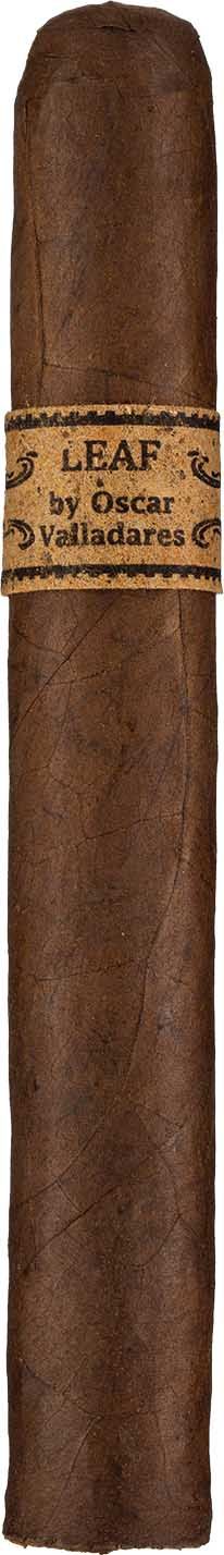 The Leaf by Oscar Maduro Toro