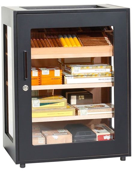 Adorini Salina Schwarz