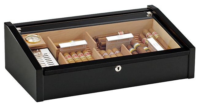 Adorini Vega Schwarz