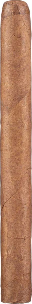 Cusano Honduras Churchill