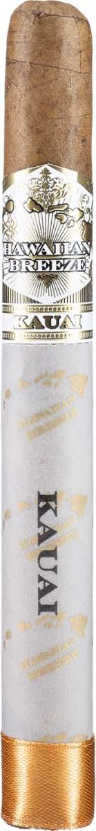 Esteban Carraras Hawaiian Breeze Kauai Corona