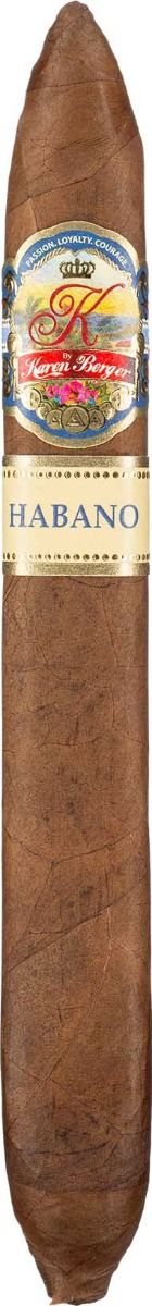 K by Karen Berger H. Salomon