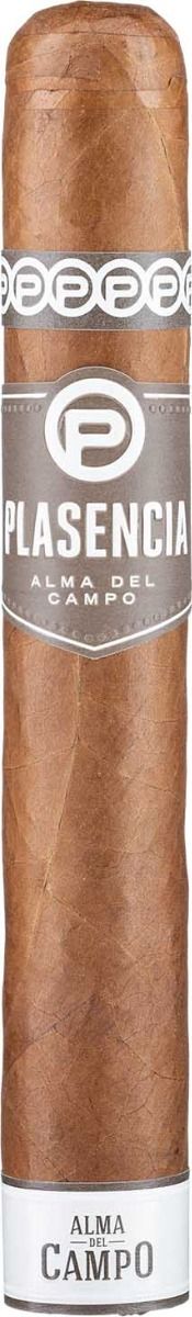 Plasencia Alma del Campo Sendero