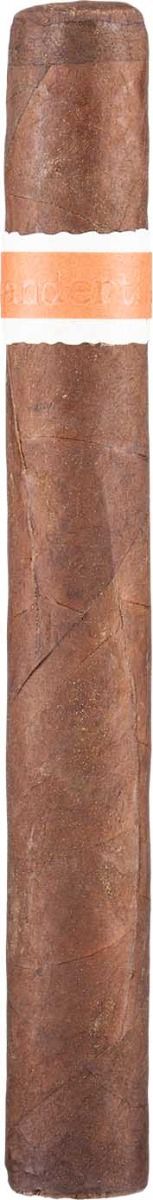 RoMa Craft Neanderthal HS