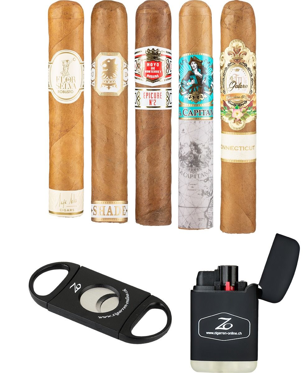 ZO Einsteiger Set