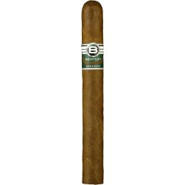Bentley Churchill