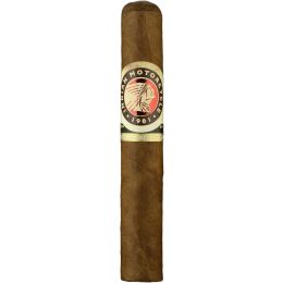 Indian Motorcycle Robusto