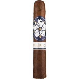 Room101 Farce Maduro Papi Chulo