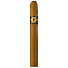 Santa Damiana Corona