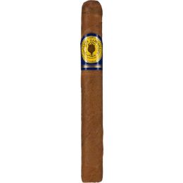 Santa Damiana Minutos