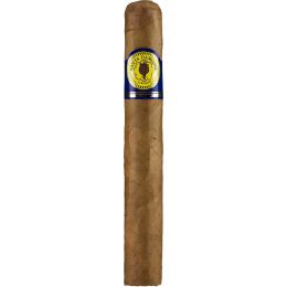 Santa Damiana Toro