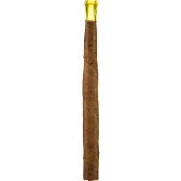 Villiger Kiel Junior Sumatra