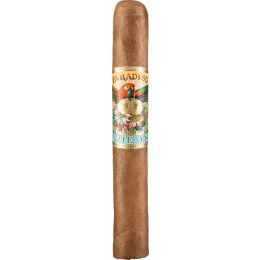 Paradiso Quintessence Robusto