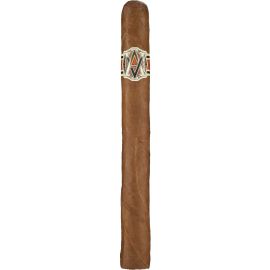 AVO XO Maestoso