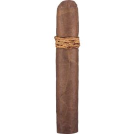 CAO Amazon Basin Rothschild