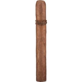CAO Amazon Basin Toro