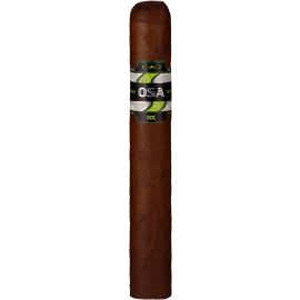 CAO OSA Sol Lot 54