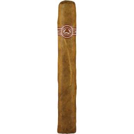 Padron 5000