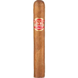 Partagas Shorts