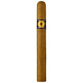 Santa Damiana Corona
