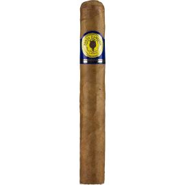 Santa Damiana Toro