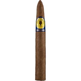 Santa Damiana Torpedo