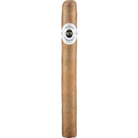 Ashton Classic Churchill
