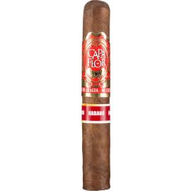 Capa Flor Habano