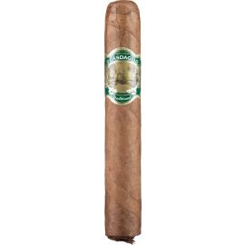 Casdagli Traditional Line Robusto